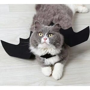 Cat Dog‎ Halloween Bat Wings Costume different sizes Small/Medium